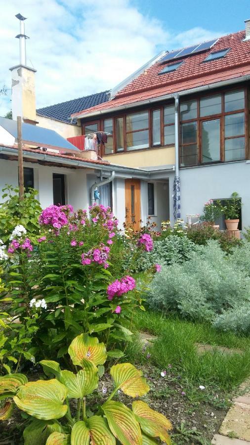 Za Vodou Hostal Moravská Nová Ves Exterior foto