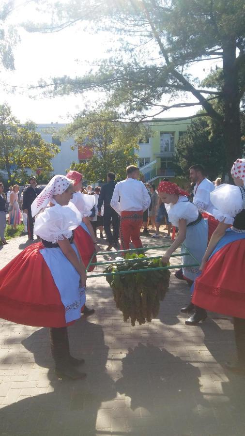 Za Vodou Hostal Moravská Nová Ves Exterior foto